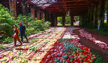En el Parque de Artes y Oficios (PAO) en Bello se exhibe la obra del artista Jorge Julián Aristizábal, donde 20 toneladas de arcilla se transformaron en 20.500 esferas de barro. Foto: Manuel Saldarriaga Quintero.