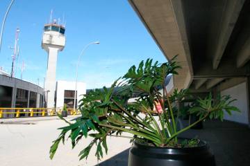 El 87% del flujo hacia el exterior correspondió a turismo. FOTO JUAN ANOTNIO SÁNCHEZ 