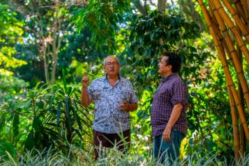 Los botánicos Álvaro Cogollo y Álvaro Idárraga. Foto: Camilo Suárez