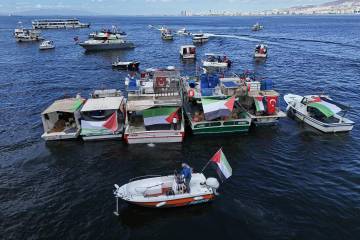 Sobre Gaza: el activismo y la adultez