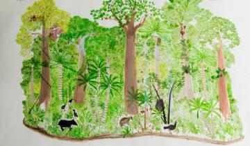 Cuatro artistas reflexionan sobre la biodiversidad