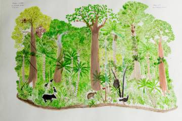 Cuatro artistas reflexionan sobre la biodiversidad