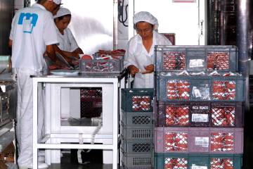 Zenú tiene la mejor planta de producción de alimentos cárnicos en Colombia, con calidad certificada internacionalmente bajo la norma ISO 9001:2000. FOTO el colombiano