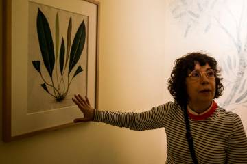 La curadora Esther García Guillén explicando uno de los dibujos de la exposición. Foto: Julio César Herrera 