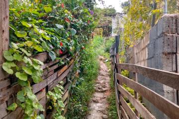 Camino del Sur: un recorrido por el centro de Ignacio Piedrahita