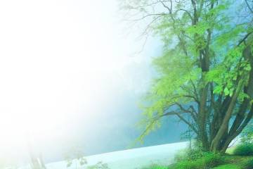 La memoria del agua