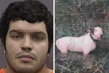 Arrestaron al hombre que habría dejado a un perrito amarrado y abandonado a su suerte previo al paso del huracán Milton