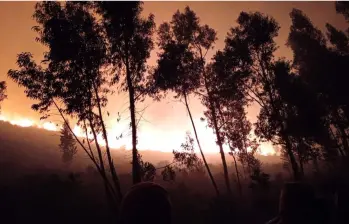 Hay alerta en Tolima por los incendios que ya tienen afectadas más de 11.000 hectáreas. FOTO: Colprensa