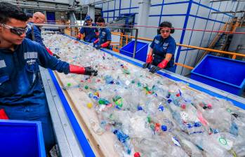 Este año Enka seguirá trabajando por la economía circular, pilar fundamental de su estrategia, invirtiendo en la red de recolección de botellas PET. FOTO Jaime Pérez