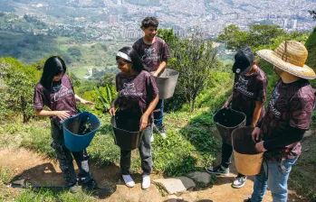 De a poco el proyecto iniciado en esa zona de ladera de Bello ha empezado a dar frutos, aparte de la ganancia de que los chicos estén por fuera de la mira de las dinámicas nocivas del sector. FOTOS Julio César Herrera