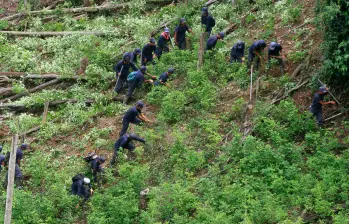Cada grupo de erradicación estaría conformado por 21 personas. FOTO DONALDO ZULUAGA