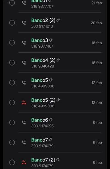 Imagen del registro de llamadas recibidas durante febrero, en las que a nombre de un banco se ofrecen insistentemente opciones financieras no solicitadas.