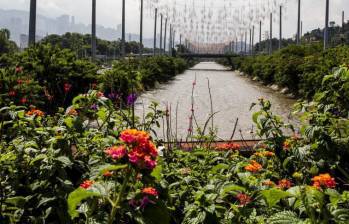 El río Medellín tiene 107 km desde el municipio de Caldas hasta Barbosa, de los cuales 25 están canalizados; por 16 km pasa la línea A del metro. Hay 84 puntos críticos. FOTO Julio César Herrera