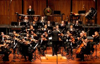 Las violas han estado desde el inicio de la Orquesta Filarmónica, en 1983. En ese entonces eran de los músicos. Foto: Cortesía.