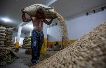 Gobierno y Federación de Cafeteros prorrogaron por cinco meses la administración del Fondo Nacional del Café. FOTO Julio César Herrera