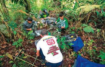 La expedición en Anorí tuvo a los reincorporados como investigadores. Fue una de las experiencias más exitosas entre las expediciones BIO. FOTO Cortesía