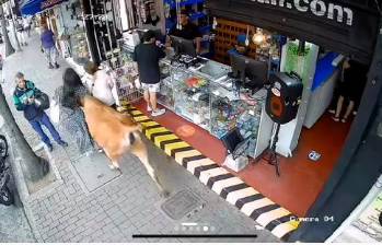 Momento en el que un bovino embiste a dos mujeres en Envigado. FOTO captura de video