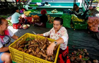 Los precios de alimentos como papa, tomate y cebolla registraron alzas en Medellín a finales de 2025, según el SIPSA del Dane. FOTO: JULIO CÉSAR HERRERA