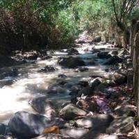 Encontraron el cuerpo de Marlon flotando en la quebrada Santa Elena