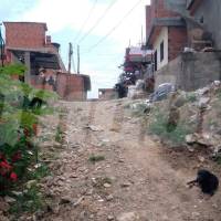¡Lamentable! Don Saúl falleció al caer de una mula en Bello