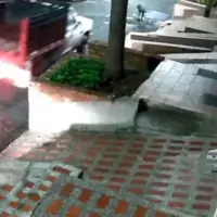 Camión atropelló a adulta mayor con su perrito y huyó del lugar