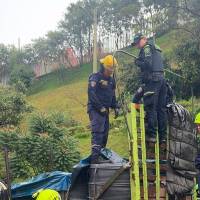 Polizón habría muerto aplastado dentro de una mula en Itagüí