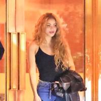 En fotos: Shakira tendría nuevo amor; aquí le contamos quién es