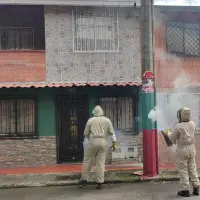 Abejas causaron pánico en Itagüí y hasta picaron a una persona
