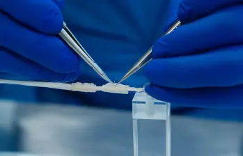 El neurotubo bioabsorbible busca reemplazar los injertos en lesiones de nervios periféricos. FOTO cortesía Ruta n