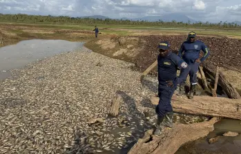 Así se ve hoy parte de la ciénaga Remacho afectada por la mortandad de peces. FOTO: Cortesía