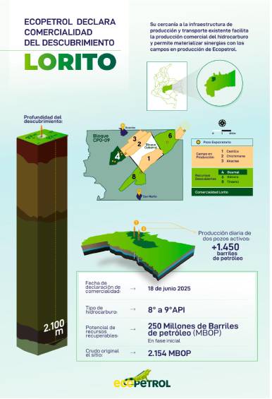 Ecopetrol: descubrimiento petrolero en Meta tiene el mayor potencial comercial de la década 