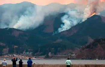 En algunos ecosistemas, los incendios naturales favorecen la regeneración del paisaje y permiten que especies únicas emerjan tras el fuego. FOTO AFP