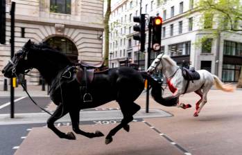 Los equinos, que pertenecen a la Caballería Real británica, se soltaron repentinamente y galoparon por las calles de la capital del Reino Unido. Foto: Getty.
