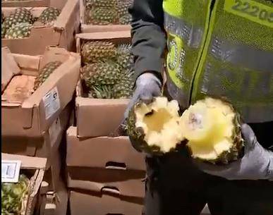 Las piñas artificiales eran huecas y ocultaban un paquete de cocaína envuelto en una especie de cera. FOTO: Tomada de video