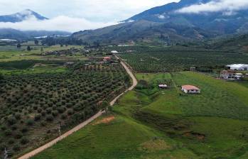 En la vía entre Urrao y Betulia resaltan dos asentamientos que son los preferidos por los “nuevos ricos”. FOTOS Manuel Saldarriaga