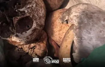 Doce cráneos fueron encontrados en el apartamento de un hombre recientemente fallecido en la ciudad de São Paulo. FOTO: Policía de São Paulo, Brasil. 