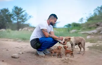 Ángel de animales callejeros: médico ha esterilizado 60.000 perros y gatos viajando por Colombia