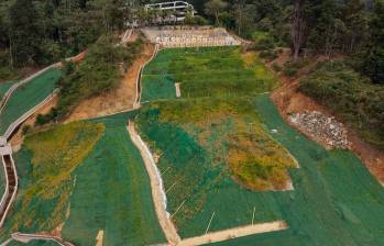 La fase final de los trabajos consistió en el restablecimiento de la vegetación para ayudar a darle estabilidad al terreno. FOTO: ALCALDÍA