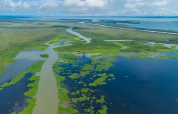 La nueva reserva de biósfera en el Chocó se extiende en seis resguardos indígenas de la zona. FOTO: CODECHOCÓ