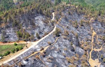 Las llamas afectaron gran parte del bosque natural del sector del Quitasol en Bello. FOTO: Manuel Saldarriaga
