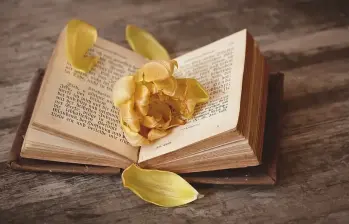 Los 10 mejores libros narrativos, según Eafit.