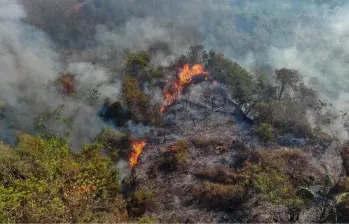 Según el último reporte de la Ungrd, el Tolima es el departamento con la mayor afectación con cuatro incendios activos. Foto. Colprensa. 