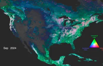 Los datos sobre antocianinas, carotenoides y clorofila iluminan América del Norte, resaltando la vegetación y su estado de salud. FOTO cortesía Estudio de Visualización Científica de la Nasa