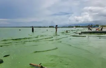 El mar de Turbo, en el golfo de Urabá, amaneció este fin de semana con un color verde que sorprendió a habitantes y turistas. FOTO: Cortesía Facebook Puerto Stereo