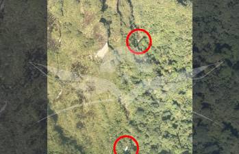 Tras la pérdida de comunicación con la aeronave, las autoridades iniciaron de inmediato las labores de búsqueda. Foto: Redes sociales @FuerzaAereaCol