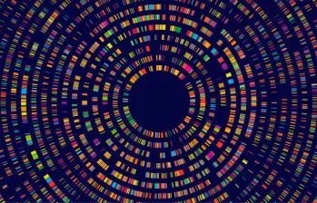 La nueva IA no solo detecta mutaciones genéticas causantes de enfermedad, sino que también las clasifica según su gravedad en todo el organismo. FOTO Agencia Sinc