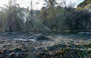 Ya van miles de hectáreas afectadas por los incendios forestales en diferentes departamentos del país. Foto: Colprensa.