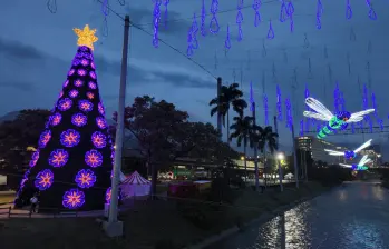 Una de las sorpresas más esperadas de la noche fue el árbol navideño de 25 metros, decorado con orquídeas y ambientado con imágenes proyectadas. FOTO: Cortesía EPM