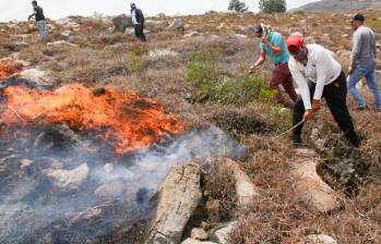 Cientos de personas trabajan para apaciguar las llamas. Foto: Colprensa.