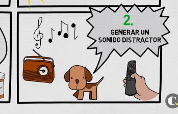 Recomendaciones para que su mascota esté tranquila durante la alborada
